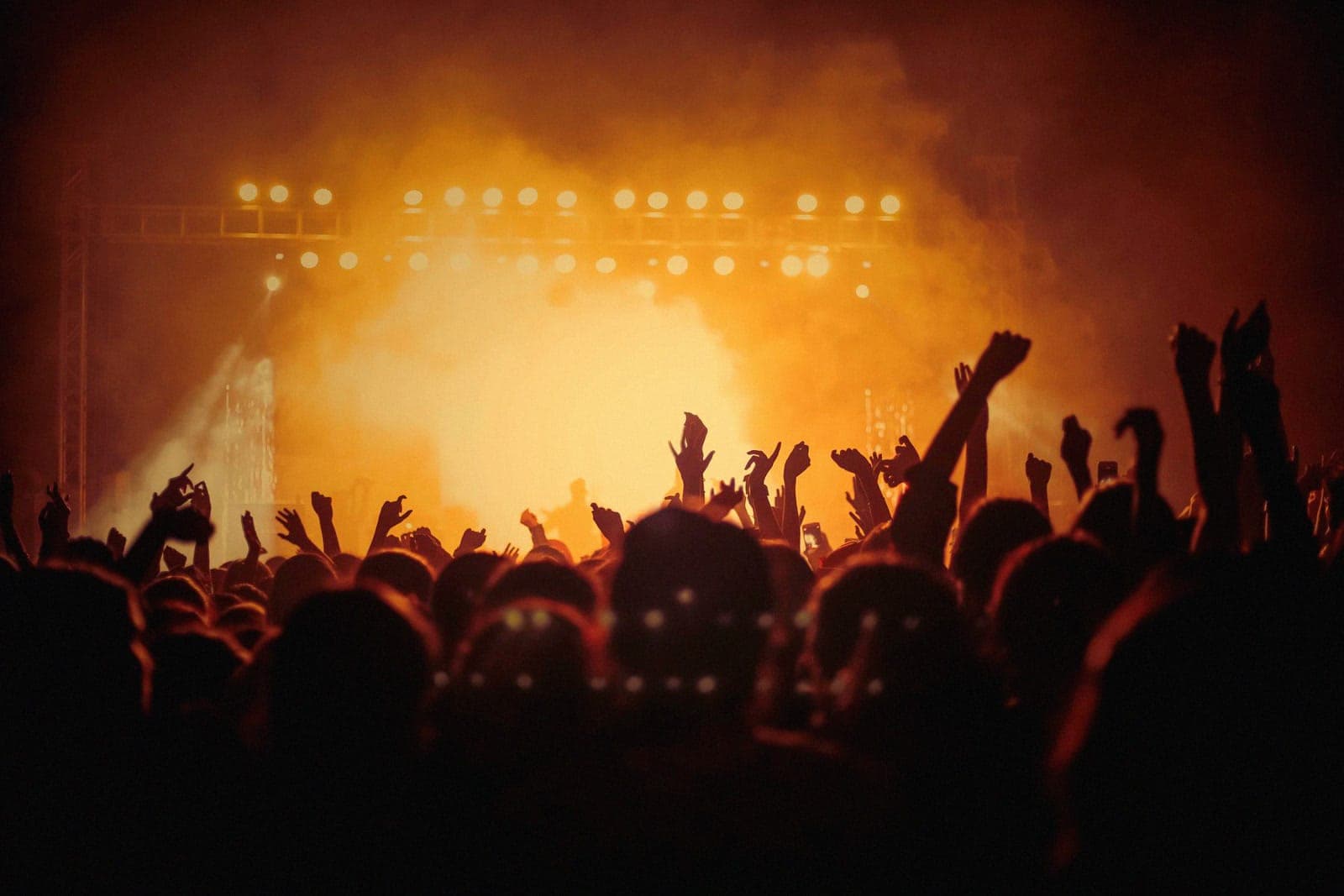 One Weekend of Bass, and a Chicago Ward Wants Electronic Festivals Gone for Good
